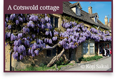 A Cotswold cottage