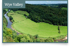 Wye Valley